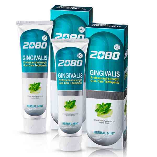 2080 Gingivalis K Herbal Mint Toothpaste 120g