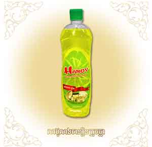 Handy Dishwish Liquid 750ml