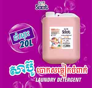 LAUNDRY DETERGENT ANTI-BACTERIAL PROFESSIONAL 20L