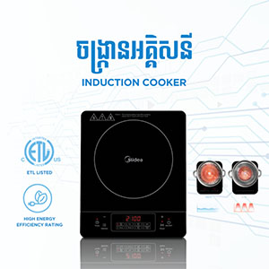 Induction Cooker RTS2103