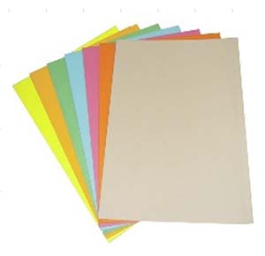 Paper Folder Thick No.A4 GR-PF666