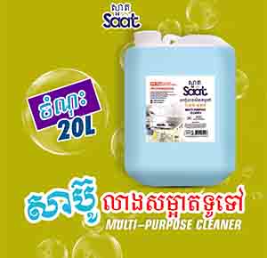 MULTI-PURPOSE ANTI-BACTERIAL PROFESSIONAL 20L