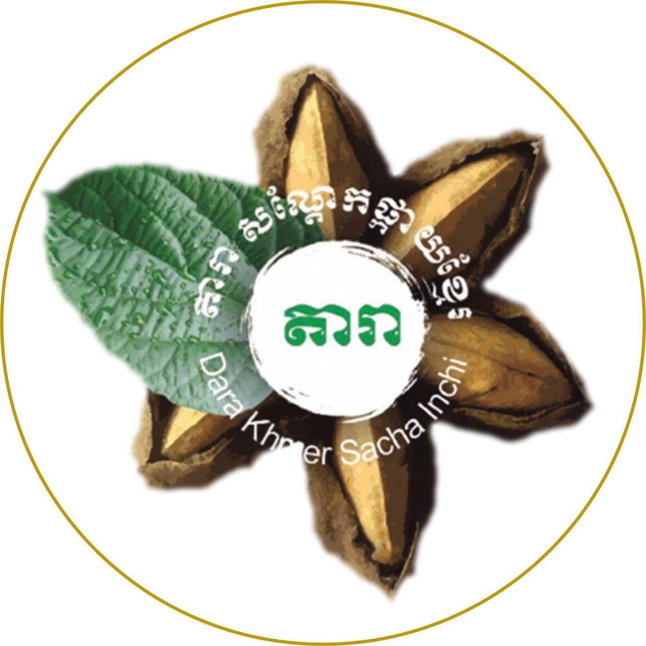 DARA FOOD Handicraft