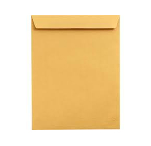 Brown Envelope A4