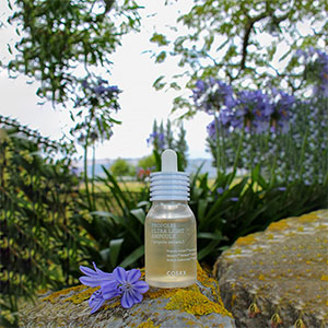 PROPOLIS ULTRA LIGHT