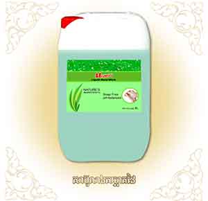 Handy Liquid Clean Wash